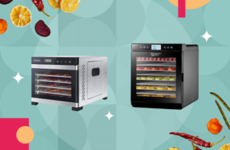 Top 10 Best Dehydrators 2026