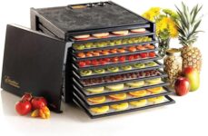 Top 10 Best Dehydrators 2026