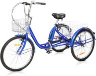 Top 10 Best Tricycles 2026